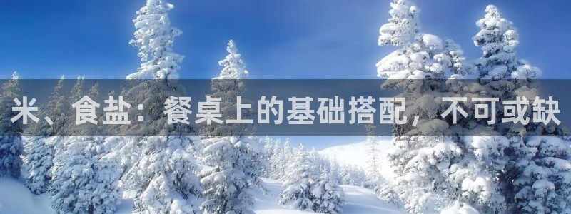 威九国际空降视频