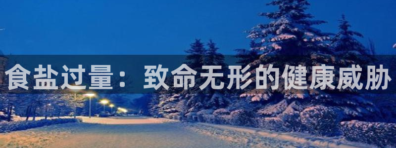 威九国际电子有限公司