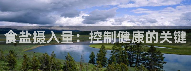 威九国际78m小说