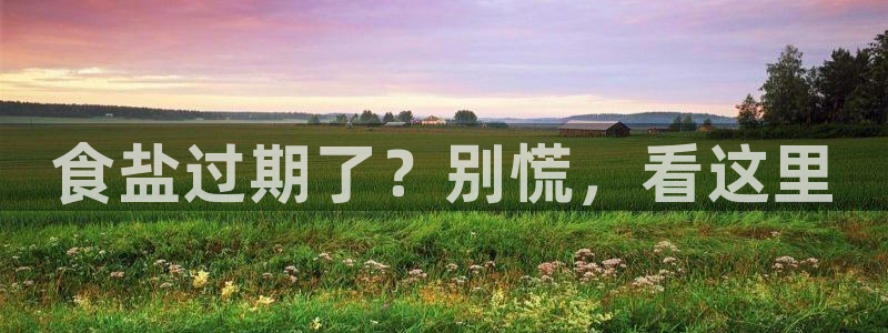 威九国际男主