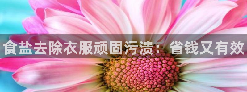 威九国际热舞