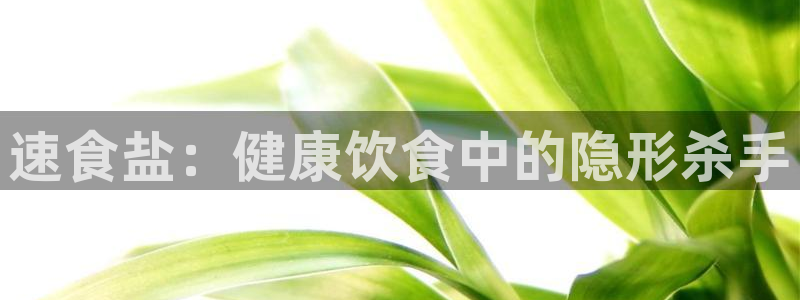 威九国际78m小说