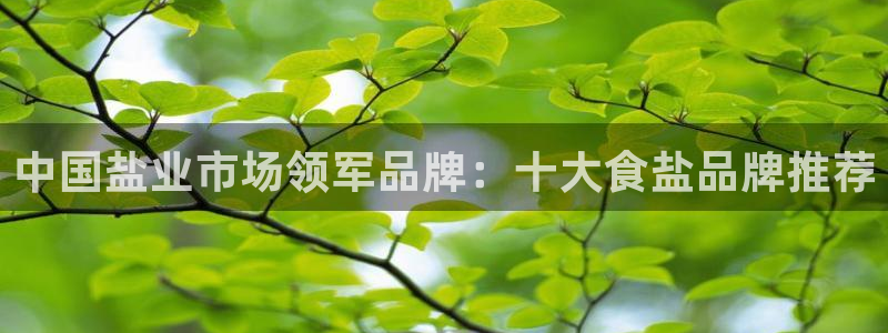 威九国际78mapp官网版下载