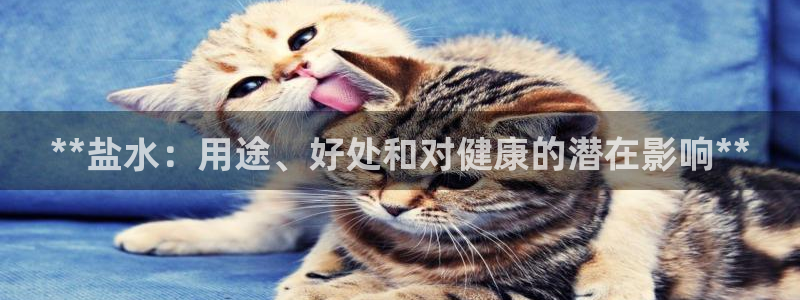 威九国际清砖码头怎么样