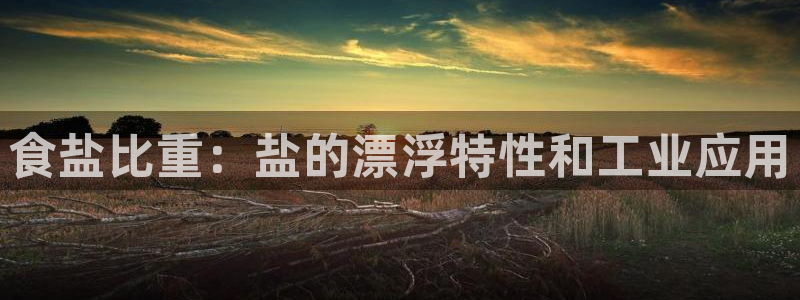 威九国际78mapp官网版下载