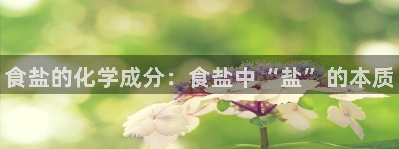 威九国际空降视频