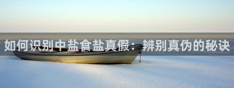 保定威九网络科技有限公司电话
