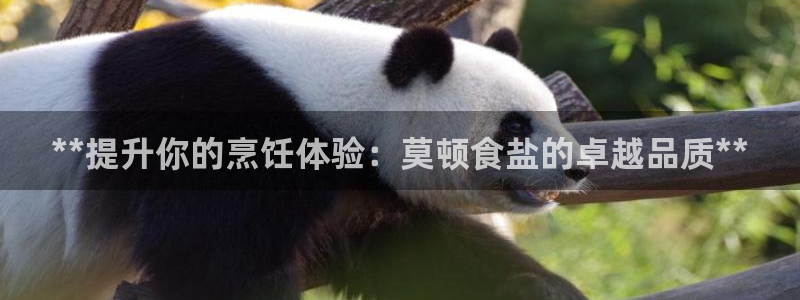 威九国际客服电话人工服务
