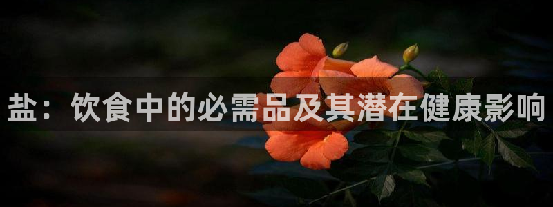 威九国际66m免费下载
