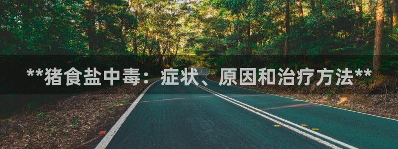 威九国际可以退钱吗怎么退的
