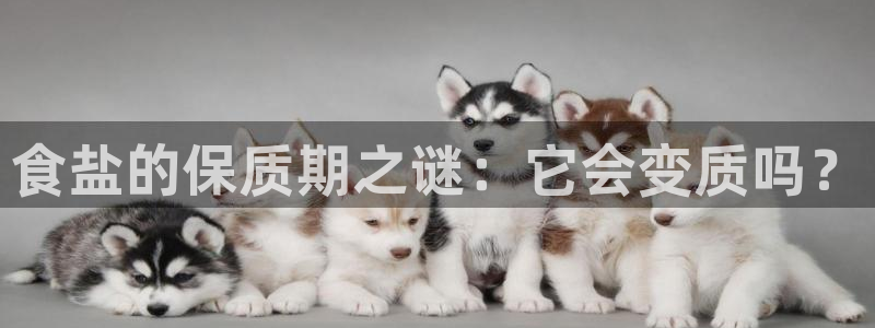 威九国际可以退钱吗怎么退款