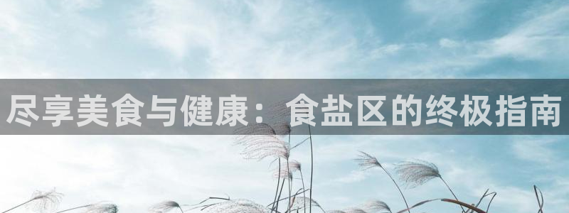 威九国际v96bet官网版