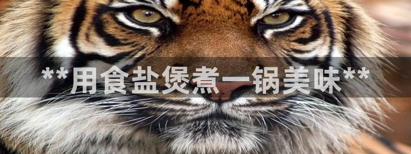 威九国际女演员名单介绍