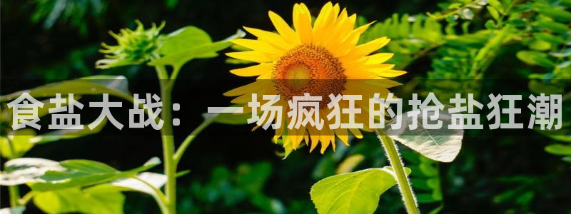 威九国际摩托电影HD