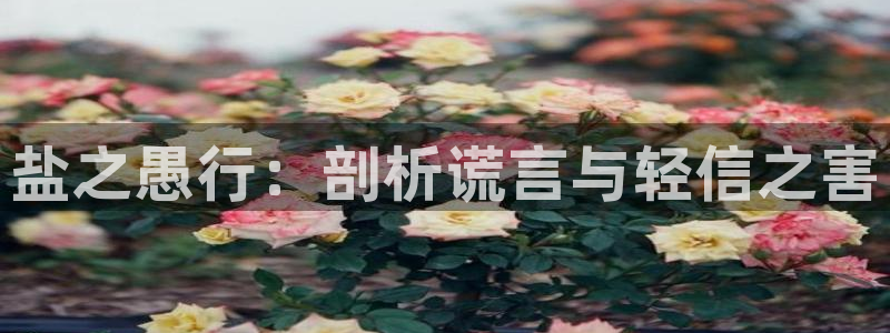 78m.ppt威九国际官网版