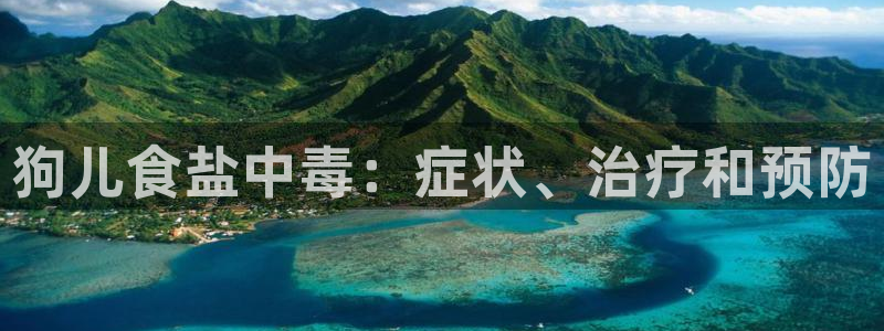 威九国际空降服务怎么样