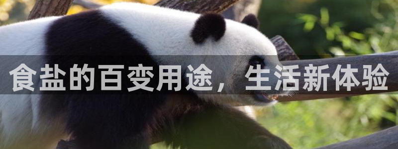 威九国际体育app下载