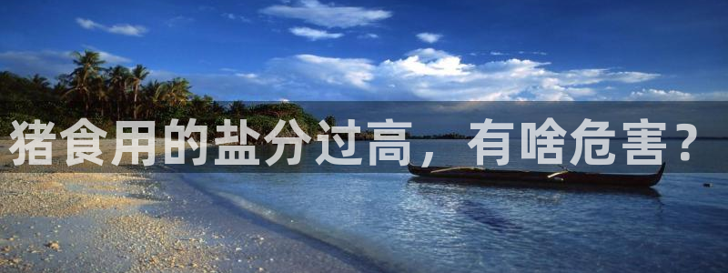 威九国际在线平台怎么样啊