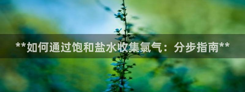78mapp威九国际免费官方版下载