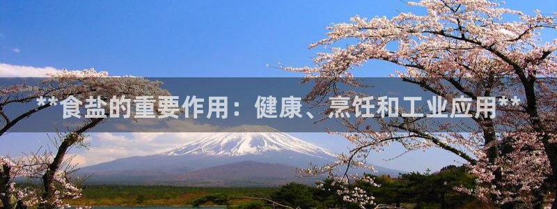 威九国际66m66m
