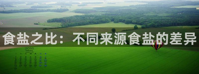 威九国际ppt免费下载网址