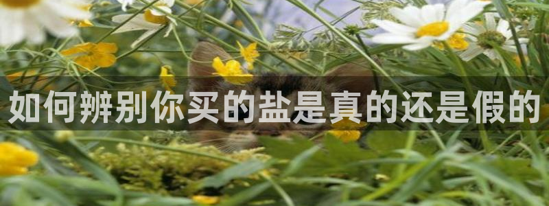 威九国际最受欢迎的功能