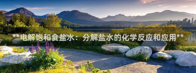 威九国际正规吗