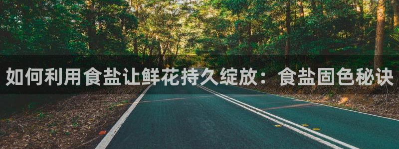 威九国际的女主