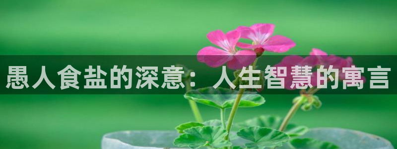 威九国际官网在线进入网站查询网址