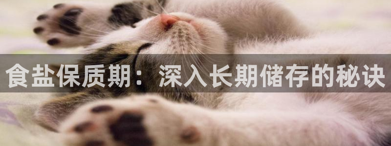 威九国际成长模式怎么样
