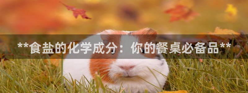 保定威九网络科技有限公司招聘