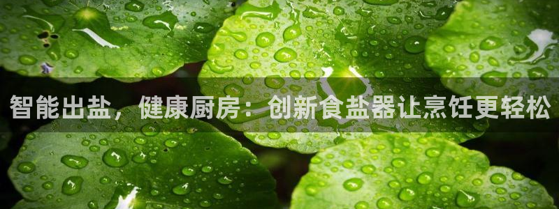 威九国际下载官网app