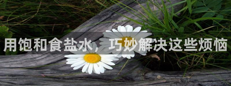 威九国际入囗