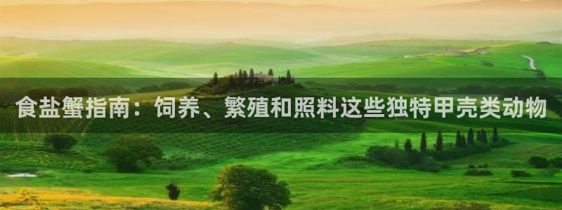 威九国际演员2023年最新作品