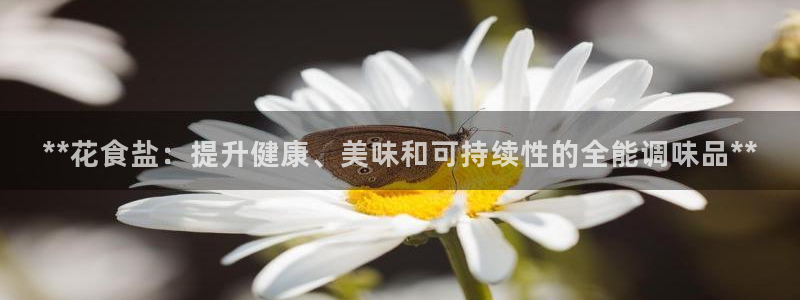 威九国际78mb特点