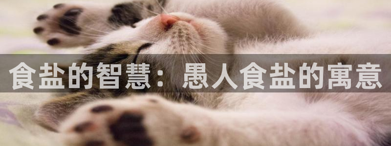 威九国际网站更新
