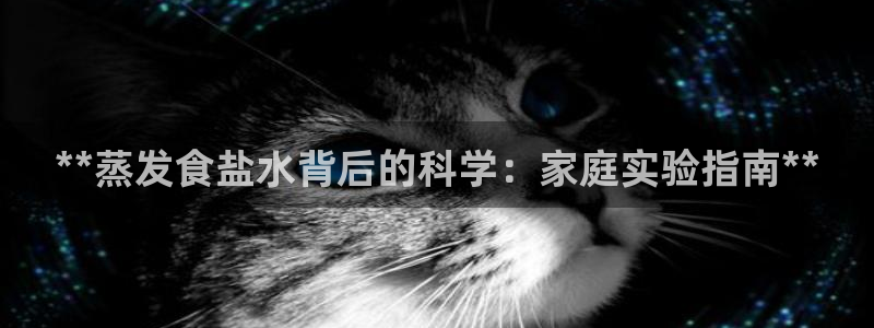 威九国际app客服电话号码