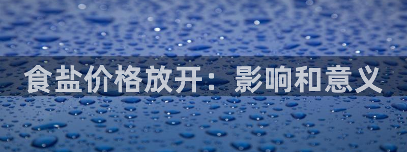 威九国际软件公司简介