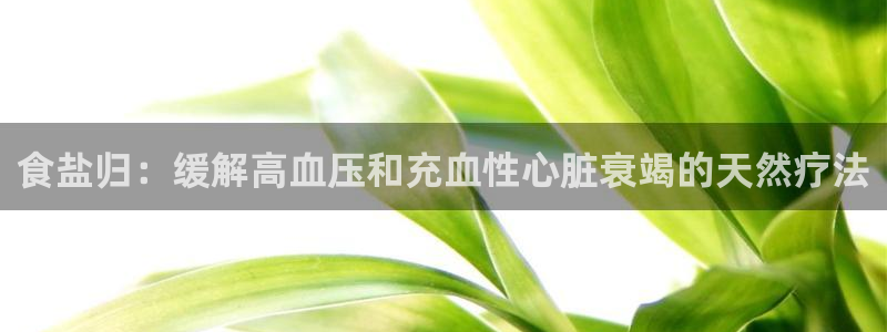威九国际最新网站