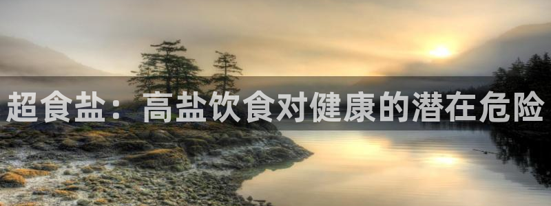 威九国际替好友去