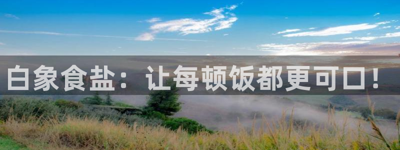 保定威九网络科技有限公司是干嘛的