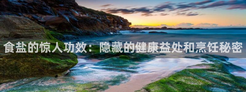 威九国际网站客服电话多少号