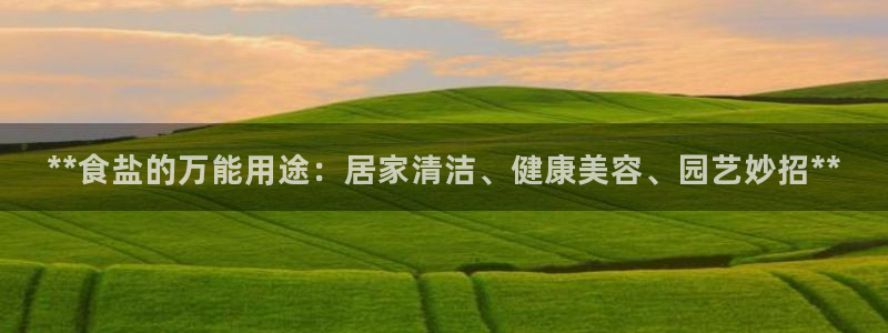 威九国际免费