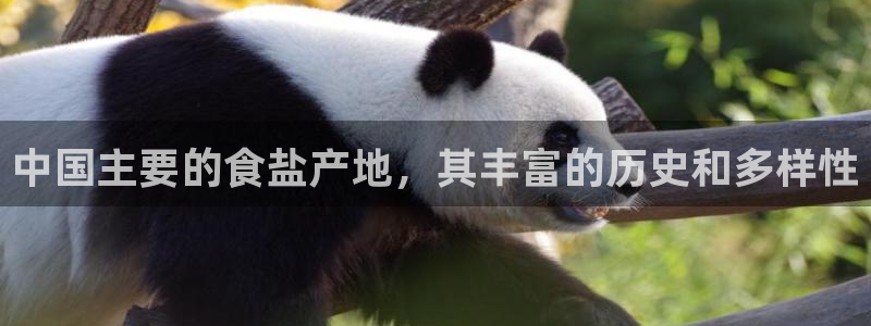 威九国际网站安全吗可靠吗