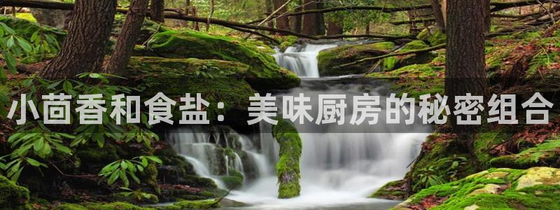 威九国际78m域名