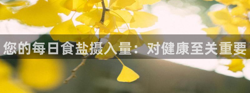 威九国际抡里