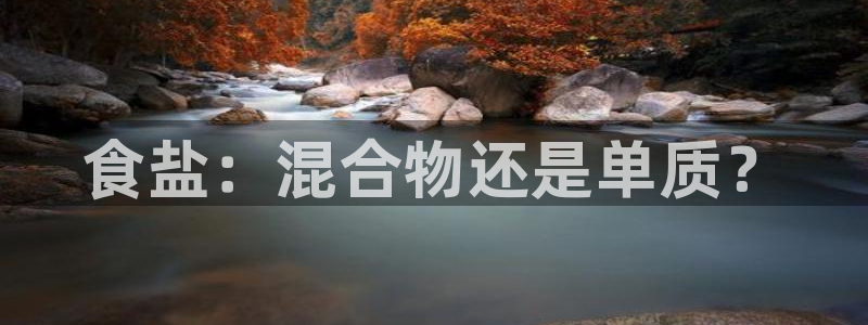 保定威九网络科技有限公司