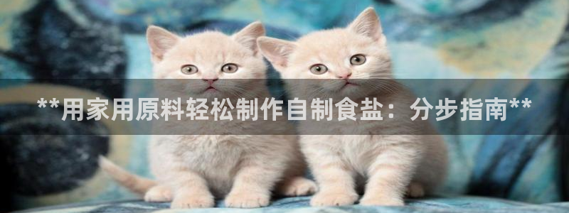 威九国际演员表