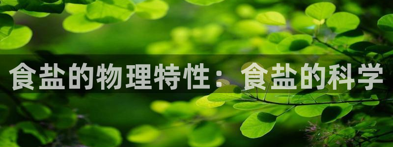 威九国际如何下载