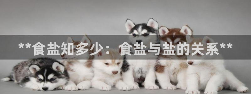 威九国际fX8x